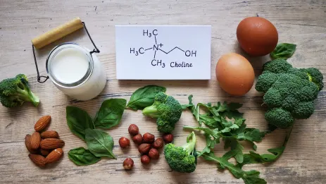 Co to jest cholina i gdzie występuje? 