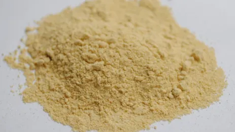 Na co pomaga ostropest plamisty i jak go stosować?