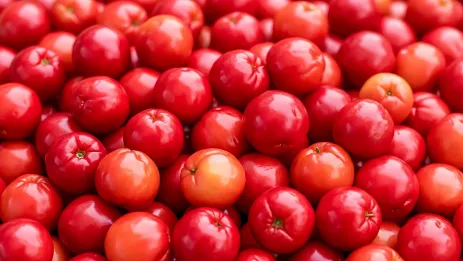 Co to jest acerola? Na co pomaga?